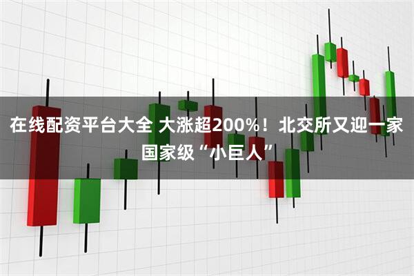 在线配资平台大全 大涨超200%！北交所又迎一家国家级“小巨人”