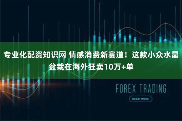 专业化配资知识网 情感消费新赛道！这款小众水晶盆栽在海外狂卖10万+单