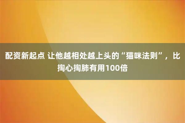 配资新起点 让他越相处越上头的“猫咪法则”，比掏心掏肺有用100倍