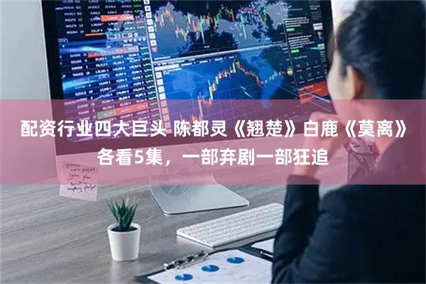 配资行业四大巨头 陈都灵《翘楚》白鹿《莫离》各看5集，一部弃剧一部狂追
